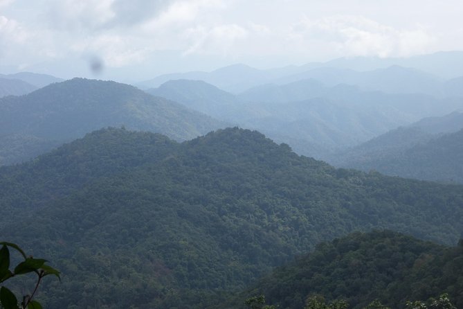 The Wild Explorer - 3 days forest trek with homestay and camping - Who should book this trek?