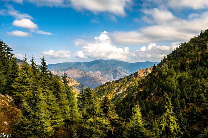 Top Tibba Trek - Mussoorie - The $33.56 price and what it covers