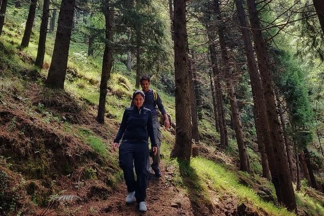 Top Tibba Trek - Mussoorie - What the four-hour outing feels like
