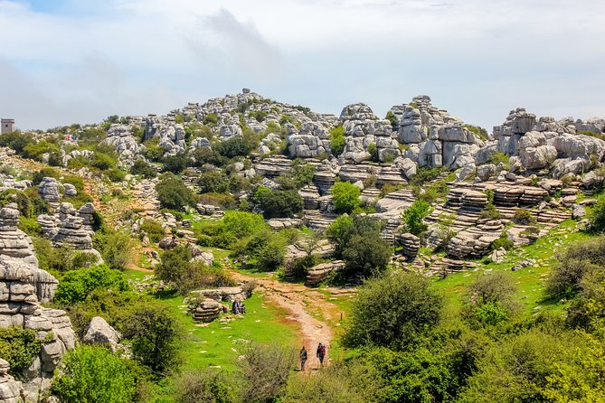 Torcal de Antequera Hiking Tour from Málaga - Fossils, goats, vultures, and stone figures