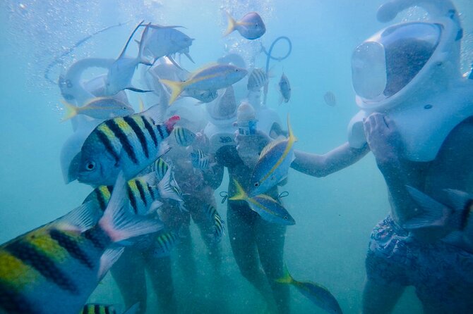 Underwater Sea Trek in San Juan: Explore Beneath the Waves - Taking your first steps below the surface