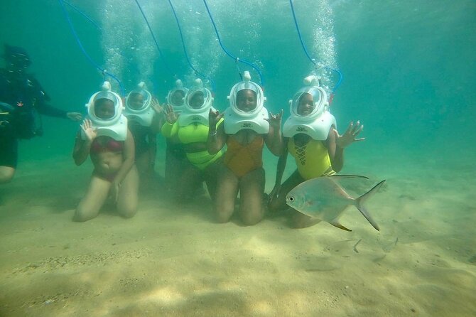 Underwater Sea Trek in San Juan: Explore Beneath the Waves - Fish, shells, and small creatures in the cove