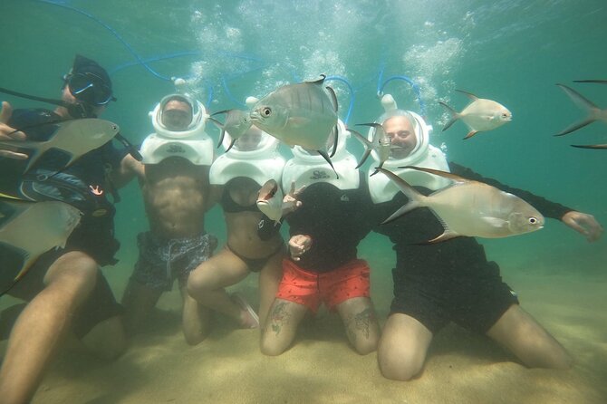 Underwater Sea Trek in San Juan: Explore Beneath the Waves - Who gets the best value for $114.84