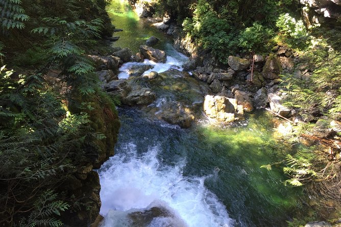 Vancouver Biking and Hiking Tour including Lunch - What the guides add to the day