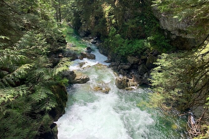 Vancouver Rainforest Hike with Waterfalls, Suspension Bridge, Old Growth Forest - Why Lynn Canyon makes a fine half-day escape