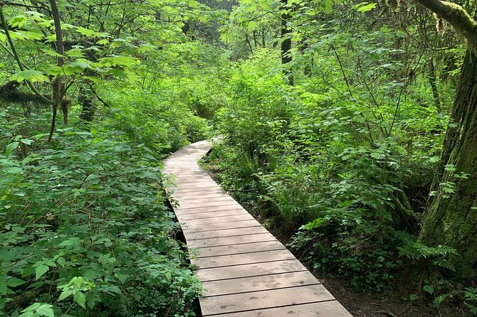 Vancouver Rainforest Hike with Waterfalls, Suspension Bridge, Old Growth Forest - Twin Falls, creek paths, and old-growth trees