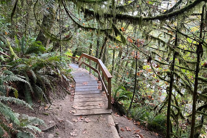 Vancouver Rainforest Hike with Waterfalls, Suspension Bridge, Old Growth Forest - The Lions Gate Bridge adds a useful city-to-wilderness story