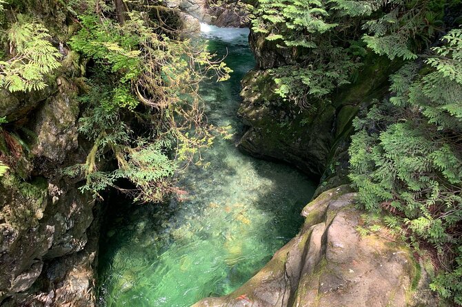 Vancouver Rainforest Hike with Waterfalls, Suspension Bridge, Old Growth Forest - Adrian’s guiding style and the small-group advantage