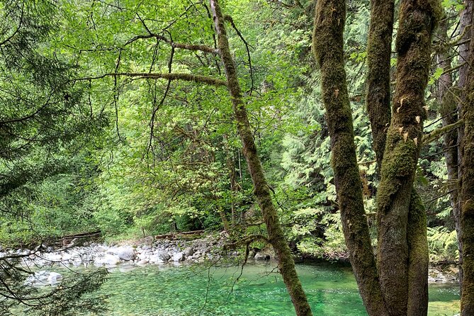 Vancouver Rainforest Hike with Waterfalls, Suspension Bridge, Old Growth Forest - What to bring for the stairs and changing weather
