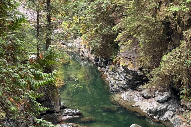 Vancouver Rainforest Hike with Waterfalls, Suspension Bridge, Old Growth Forest - Who will enjoy this hike most?