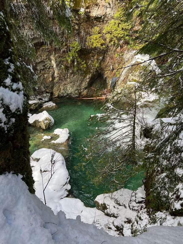 Vancouver: Rainforest Waterfall Hike and Suspension Bridge - Key points at a glance