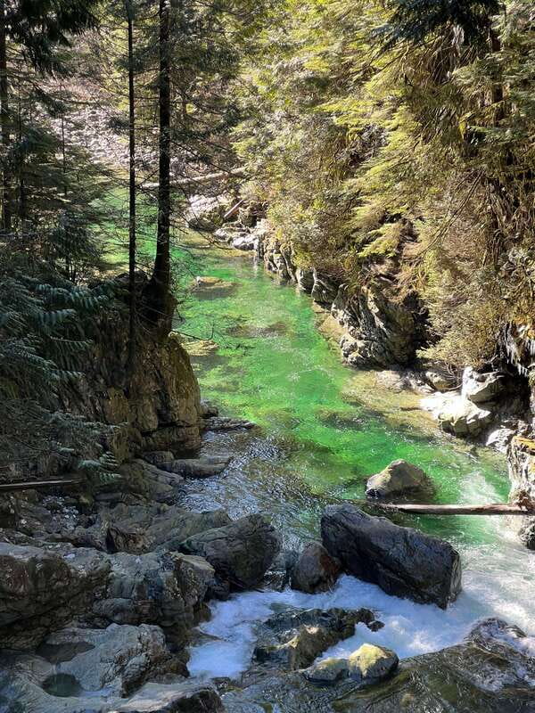 Vancouver: Rainforest Waterfall Hike and Suspension Bridge - Why this hike works so well in Vancouver