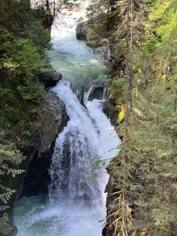 Vancouver: Rainforest Waterfall Hike and Suspension Bridge - Crossing the suspension bridge