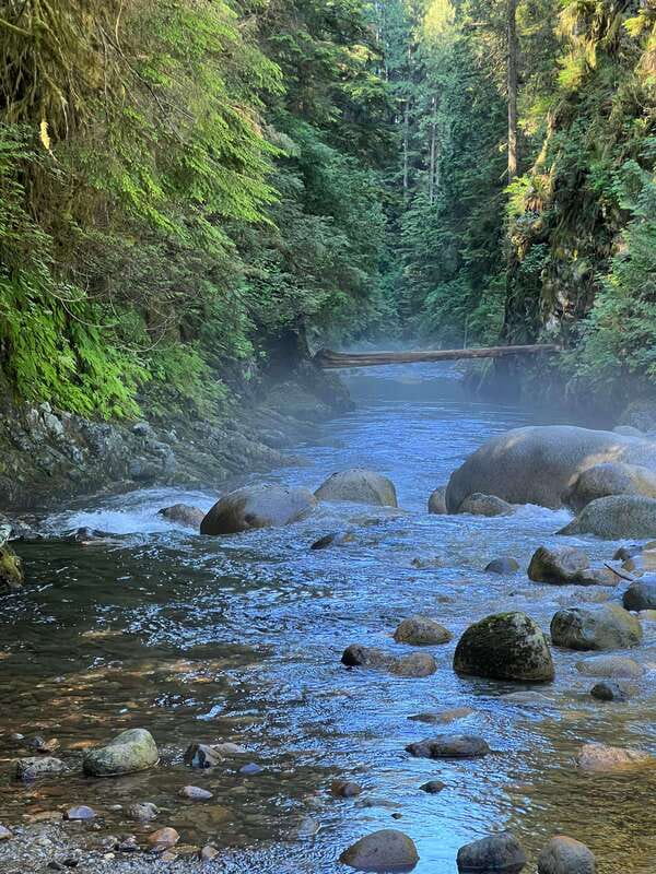 Vancouver: Rainforest Waterfall Hike and Suspension Bridge - Price and overall value at $62