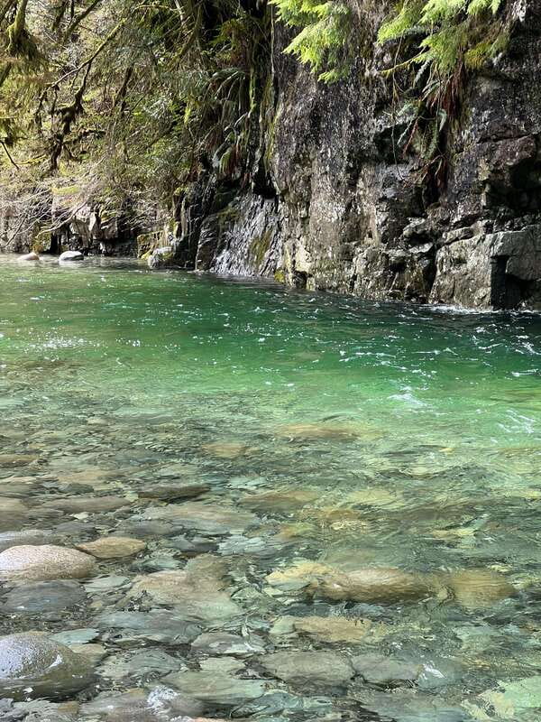 Vancouver: Rainforest Waterfall Hike and Suspension Bridge - Starting with hotel pickup and the ride to the trail