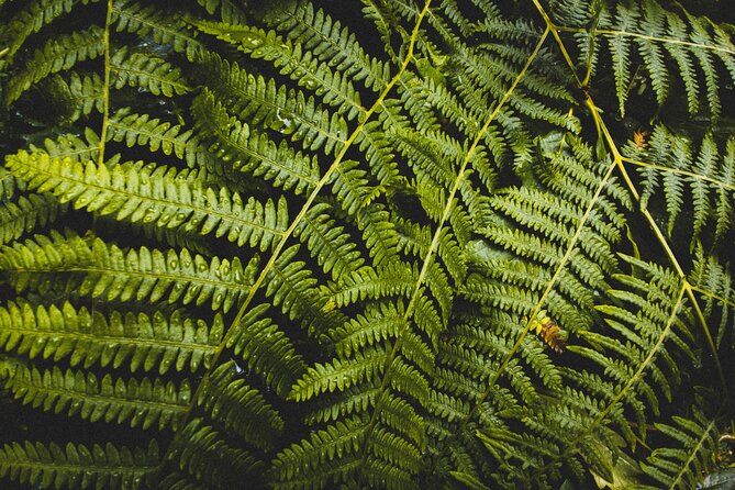 Visit Snoqualmie and Hike to Twin Falls (Transportation included) - Olallie State Park brings the real hike