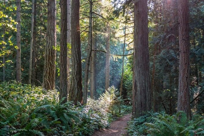 Visit Snoqualmie and Hike to Twin Falls (Transportation included) - Reaching Twin Falls at a group-friendly pace