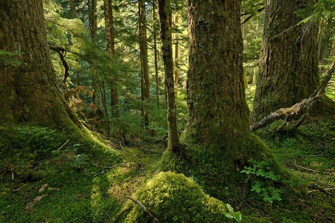 Visit Snoqualmie and Hike to Twin Falls (Transportation included) - How hard is the hike?