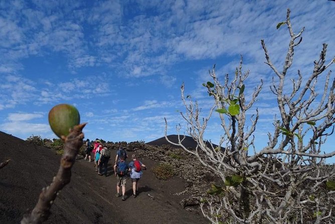 Volcano Trekking Tour (Timanfaya eruptions) - Starting at 9:30 with pickup across Lanzarote