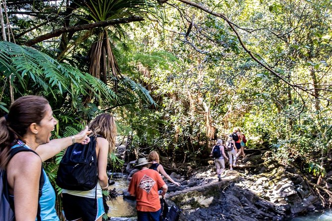 Waterfall & Rainforest Hiking Adventure with Hotel Pickup - Swimming at the tropical pool