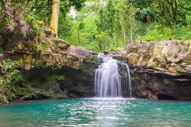 Waterfall & Rainforest Hiking Adventure with Hotel Pickup - What the $229.32 price includes