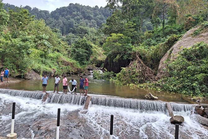 Wild Elephant Anakulam & Waterfalls Tour(munnar valley Trekking) - Waiting for elephants at the viewpoint