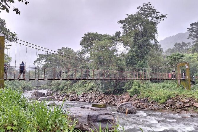 Wild Elephant Anakulam & Waterfalls Tour(munnar valley Trekking) - Letchmi Estate begins the day in tea country