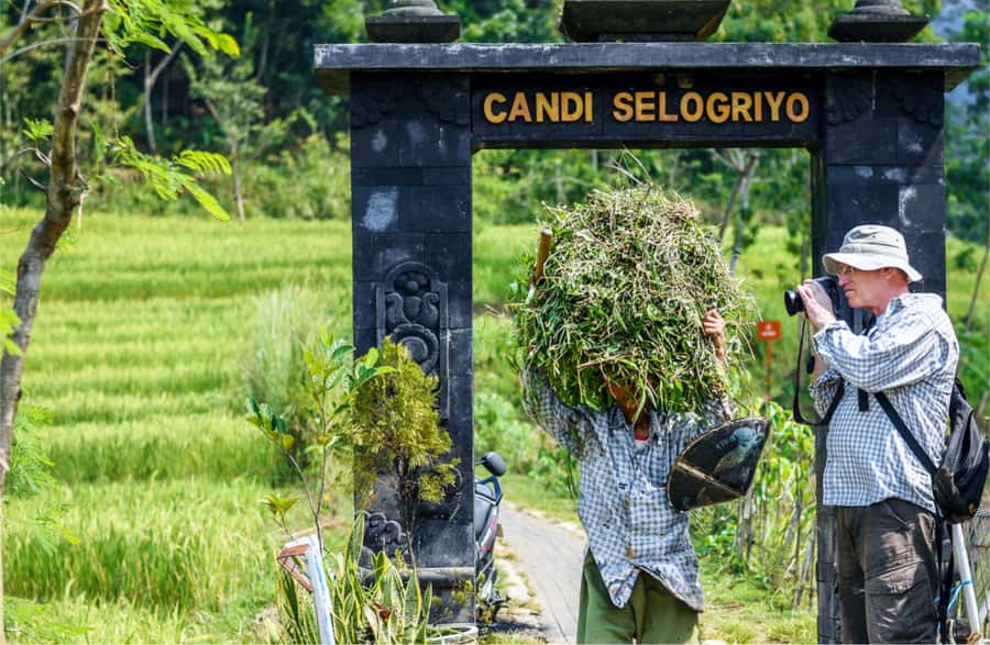 Yogyakarta: Selogriyo Temple Tour & Java Rice Terrace Trek - Practical advice before you go