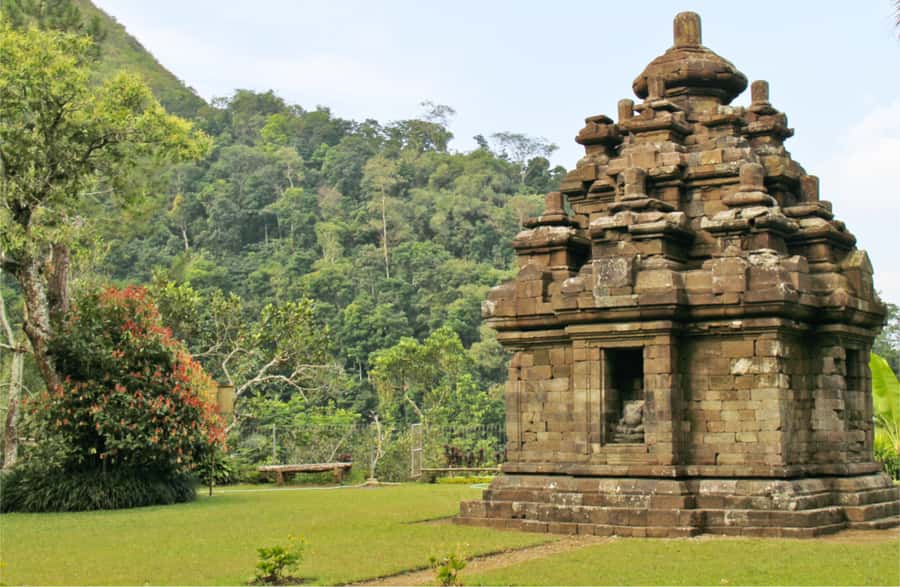 Yogyakarta: Selogriyo Temple Tour & Java Rice Terrace Trek - Should you book the Selogriyo tour?
